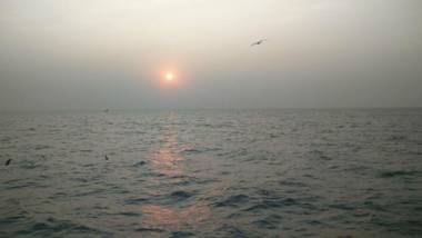 Aqua Arina Holiday Farm House