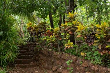 Valhalla Goa Farm - Rooms & Hostel