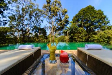 Wayanad Wild - Rainforest Lodge