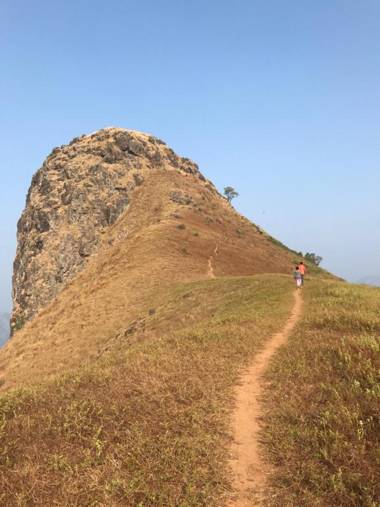 Machaan Plantation Resort Sakleshpur