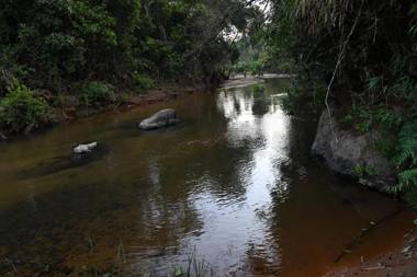 Nature INN with Mountain View