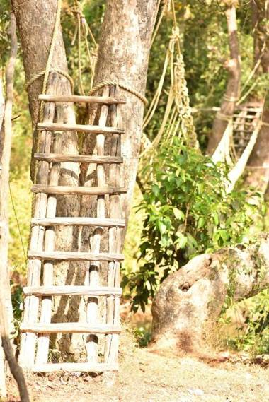 Vamoose Stream Edge Homestay