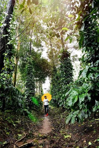 Unlock By Goldfinch Sakaleshpur