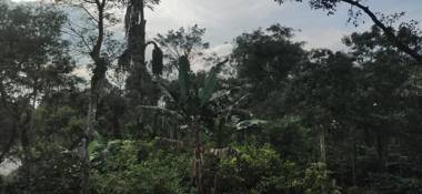 Sakleshpur Home Stays