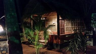 Palm Trees Ayurvedic Heritage