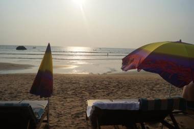 Royal Wood Beach Resort