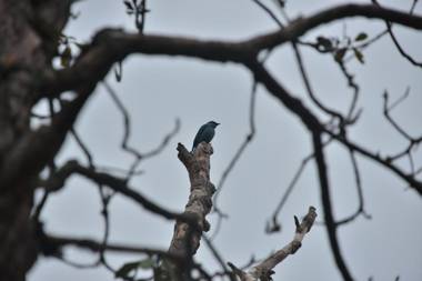 The Hermitage Kanatal