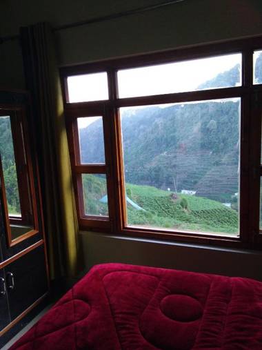 The dhanolti GROOVE GARDEN