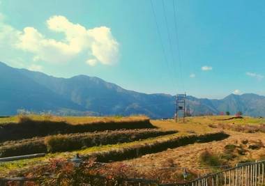 Bamboo Junction Resort