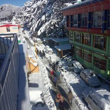 Pine guest house abd restaurant