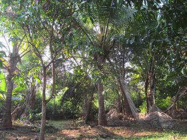 Vidya Konkan Agro Tourism