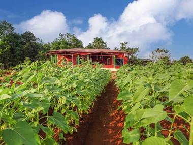 AARYA FARM