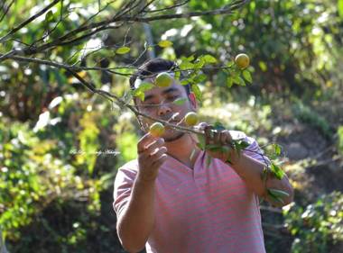 Vamoose Orange Valley Sittong