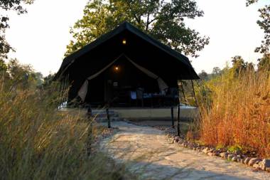 NaturesGroove Jungle Camp Basinkhar Mukki Kanha Baihar