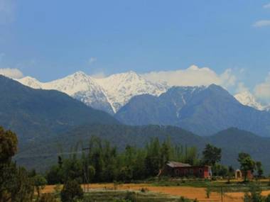 Nature Bloom Dharamshala Hotel and Resort