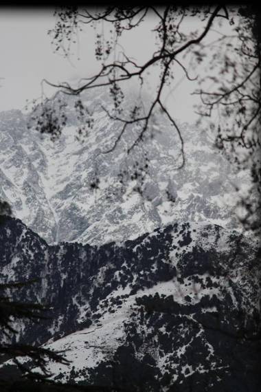 Rana's House Mcleodganj