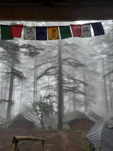 TriundView Camps and Homestay