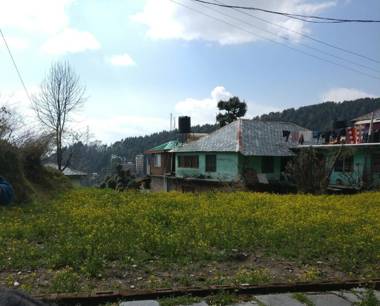 White Rabbit Guest House