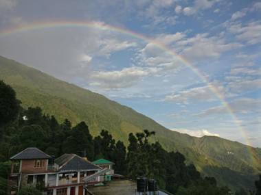 White Rabbit Guest House
