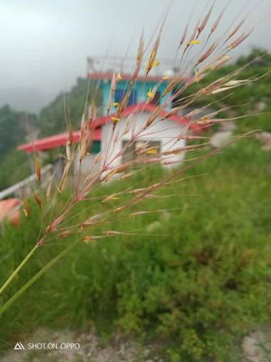 Great Himalayan adventure kareri