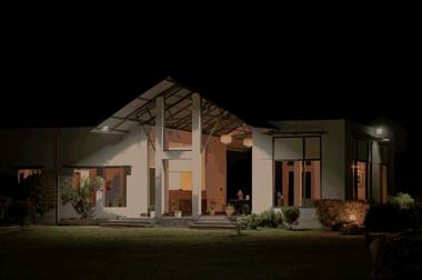 Foxtail Orchid Kaziranga