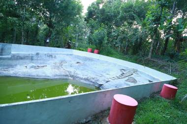 Philip Mary Farm Stay