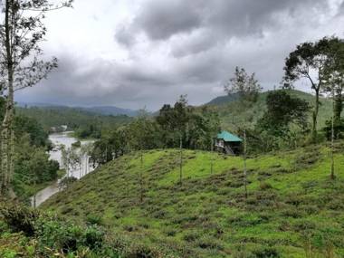 Noah's Nest Tree House