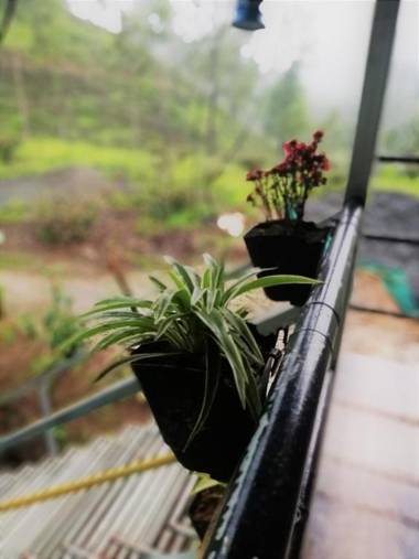 Noah's Nest Tree House