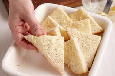 Shaleen Elegance Homestay