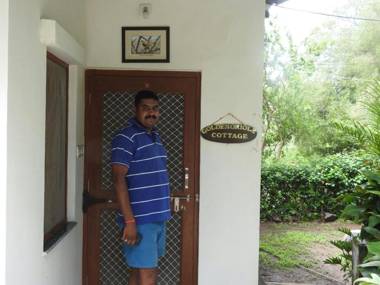 Golden oriole cottage