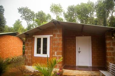 Yedamakky Plantations