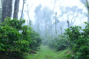 K K Group Of Residency