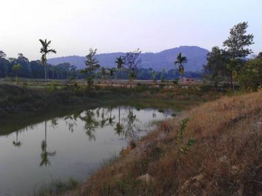 Simply Coorg Estate Villa