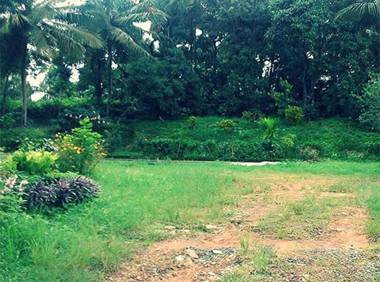 Simply Coorg Estate Villa