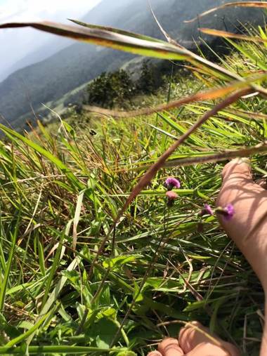 kollanoor guest house