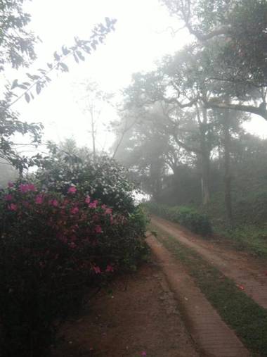 Coorg Daffodil Guesthouse