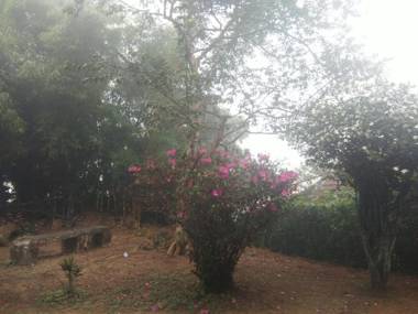 Coorg Daffodil Guesthouse