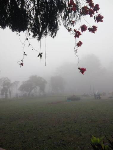 Coorg Daffodil Guesthouse