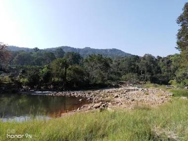 Coorg River Rock Camping