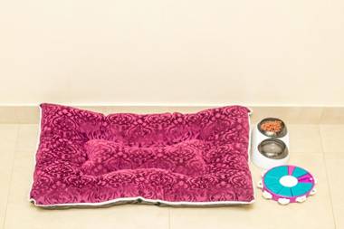 Aurika Coorg - Luxury by Lemon Tree Hotels