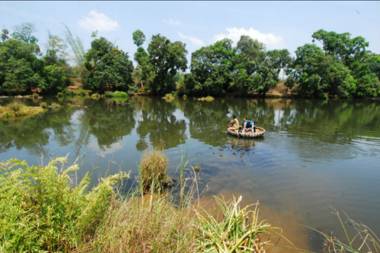 Dubare Elephant Camp-Jungle Lodges