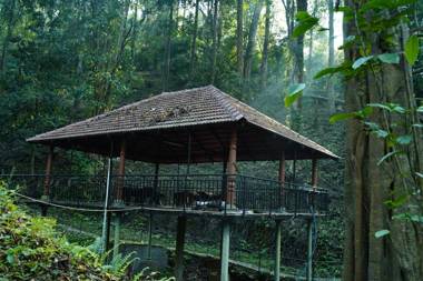 STAYMAKER Qexperiences Coorg