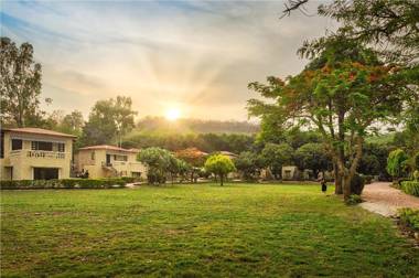 Pagoda's Manu Maharani