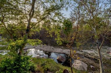 The Riverwood Forest Retreat Pench