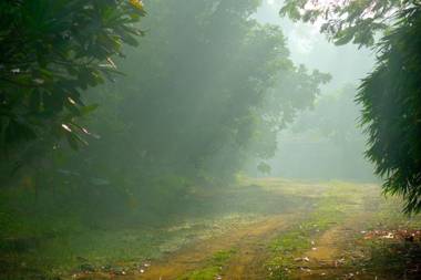 Clayfingers Art Cottage