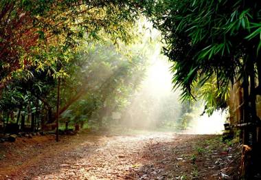 Clayfingers Art Cottage