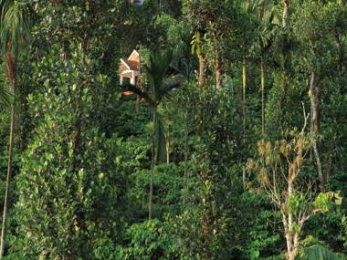 Dhanagiri Home Stay