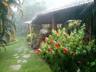 Tranquil Blusalz Collection