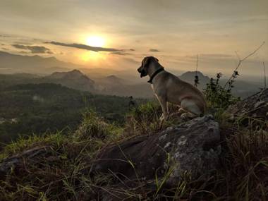 Tranquil Blusalz Collection