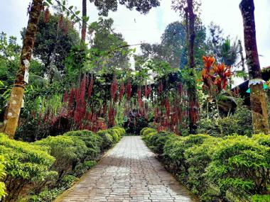 Himadri Retreat Cottage